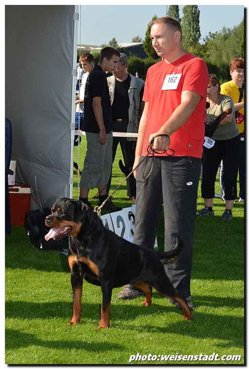 Viva von Kelemen Viva von Kelemen